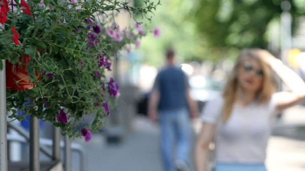 Итоги недели. Что важного произошло в Воронежской области с 5 по 11 июля