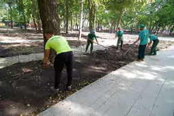 В Воронеже назначат нового вице-мэра по градостроительству
