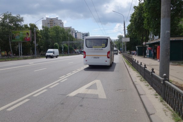 Лучше меньше, да лучше? Что воронежцы думают о новых выделенках