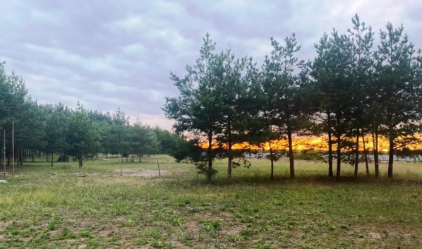 СКР возбудил дело после того, как 8-летняя девочка получила закрытый перелом стопы