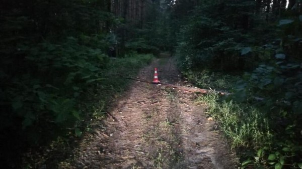 В павловском селе Большая Казинка в ДТП с мотоциклом пострадал 7-летний мальчик