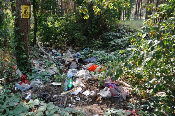 Гид РИА &laquo;Воронеж&raquo;. Чем заняться в выходные 3&ndash;4 июля