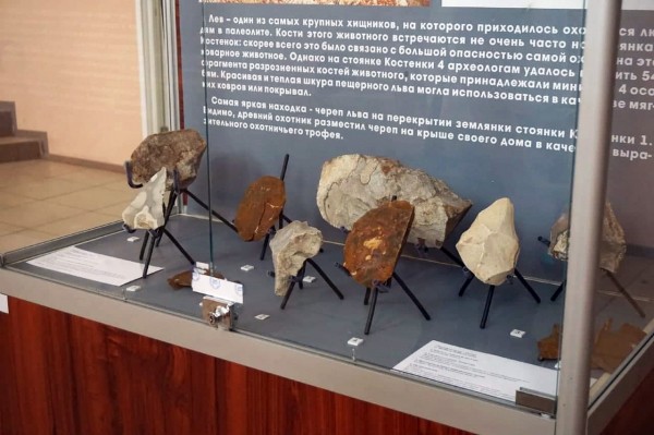 Гид РИА &laquo;Воронеж&raquo;. Чем заняться в выходные 3&ndash;4 июля