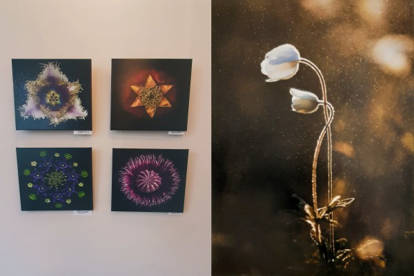 &laquo;Воронежские картинки&raquo;: жители города увидели красоту через объектив телефона