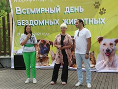 Всемирный день бездомных животных Воронеж отметил Марафоном добрых дел