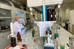 Аграрии Воронежской области собрали 3 млн тонн зерна