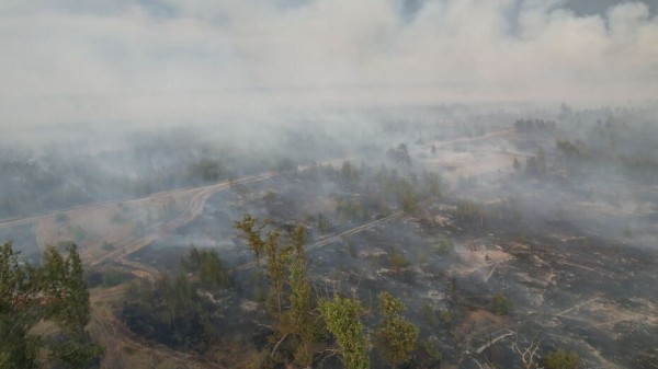 На Кожевенном кордоне под Воронежем потушили лесной пожар