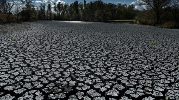 Воронежская область попала в четверку регионов с самыми высокими климатическими рисками