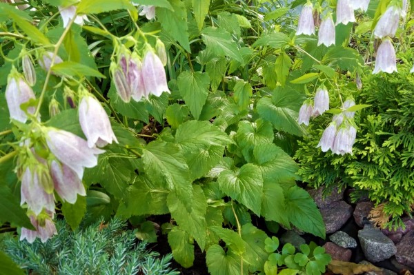 Гид РИА &laquo;Воронеж&raquo;. Чем заняться в выходные 7&ndash;8 августа