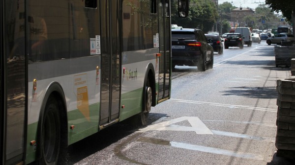 Итоги недели. Что важного произошло в Воронежской области с 26 июля по 1 августа