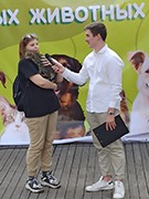 Всемирный день бездомных животных Воронеж отметил Марафоном добрых дел