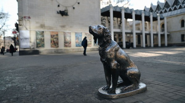 В Воронеже откроется выставка к 50-летию книги &laquo;Белый Бим Черное ухо&raquo;