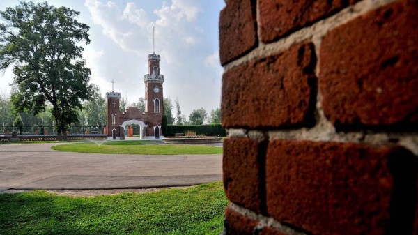 Воронежцы поддержат дворцовый комплекс Ольденбургских на конкурсе &laquo;Диво России&raquo;