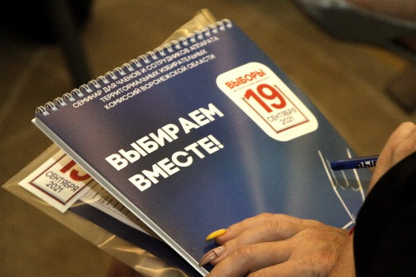 Современные технологии и наблюдение. Как в Воронеже готовятся к выборам в Госдуму