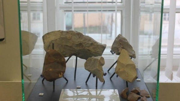 Проект воронежского &laquo;Дивногорья&raquo; представят в музее-заповеднике Астрахани