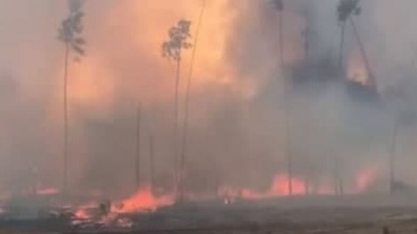 Итоги недели. Что важного произошло в Воронежской области с 16 по 22 августа