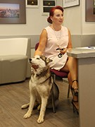 В Воронежском Доме журналистов прошла встреча на тему &laquo;Собаки в городе: кто в ответе за тех, кого не приручали?&raquo;