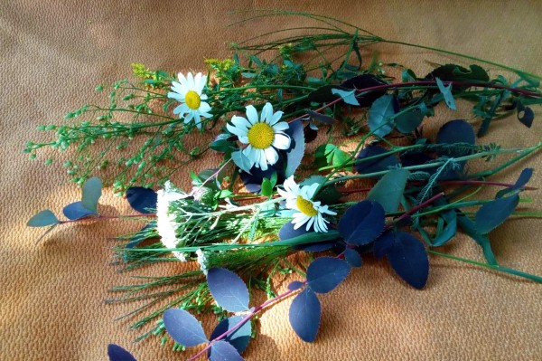 Гид РИА &laquo;Воронеж&raquo;. Чем заняться в выходные 31 июля &ndash; 1 августа