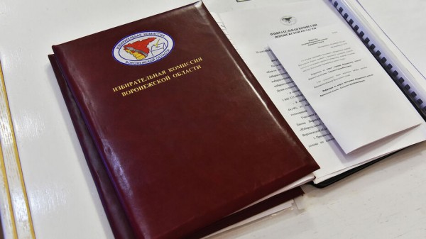Воронежский облизбирком зарегистрировал 32 кандидата в депутаты Госдумы