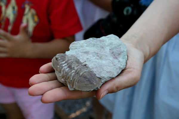 Гид РИА &laquo;Воронеж&raquo;. Чем заняться в выходные 14&ndash;15 августа
