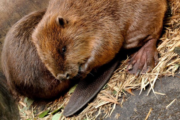 Гид РИА &laquo;Воронеж&raquo;. Чем заняться в выходные 7&ndash;8 августа