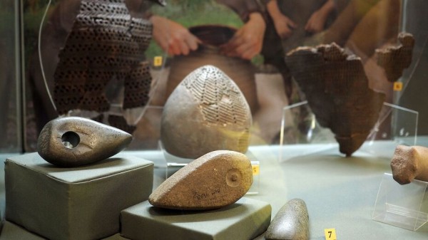 Итоги недели. Что важного произошло в Воронежской области с 2 по 8 августа