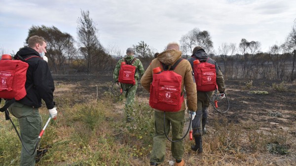 Воронежских школьников пригласили обучиться эковолонтерству
