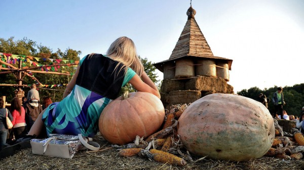 На охрану воронежского фестиваля &laquo;Город-сад&raquo; потратят до 2 млн рублей