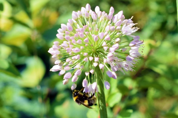 Гид РИА &laquo;Воронеж&raquo;. Чем заняться в выходные 31 июля &ndash; 1 августа