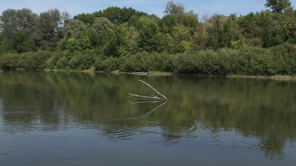 С начала 2021 года в Воронежской области утонули 73 человека