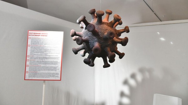 Двадцать пять человек умерли от осложнений коронавируса в Воронежской области за сутки