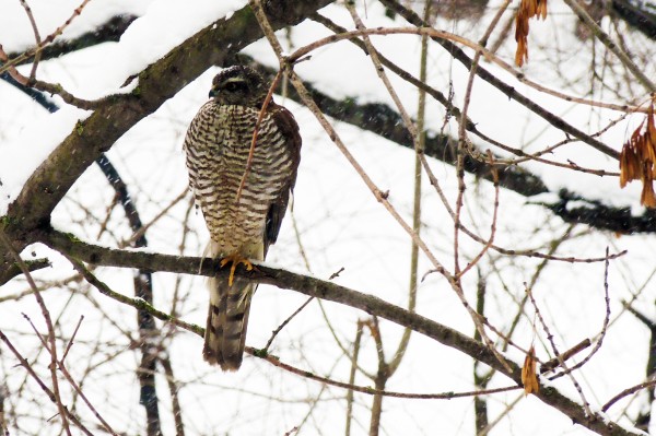 Гид РИА &laquo;Воронеж&raquo;. Чем заняться в выходные 31 июля &ndash; 1 августа