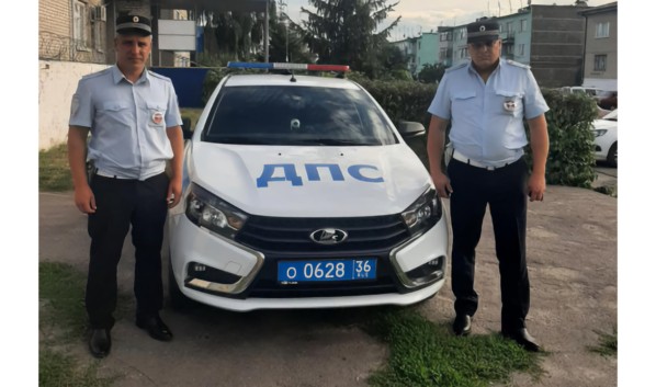 Воронежская 5-летняя девочка пропала, пойдя играть с котенком на детскую площадку