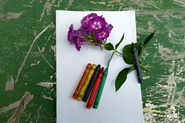 Гид РИА &laquo;Воронеж&raquo;. Чем заняться в выходные 31 июля &ndash; 1 августа