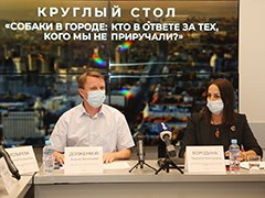 В Воронежском Доме журналистов прошла встреча на тему &laquo;Собаки в городе: кто в ответе за тех, кого не приручали?&raquo;