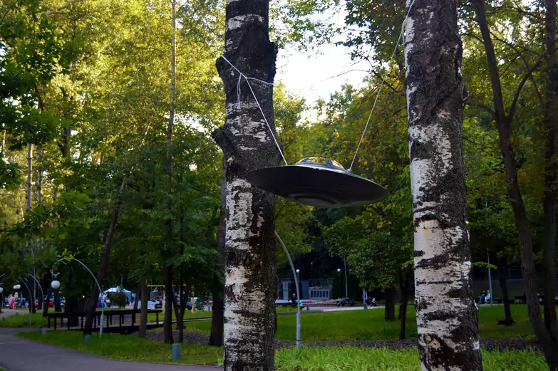 Чернокнижник, деревья-великаны и бифштексные томаты. Чем удивит воронежцев XI &laquo;Город-сад&raquo;