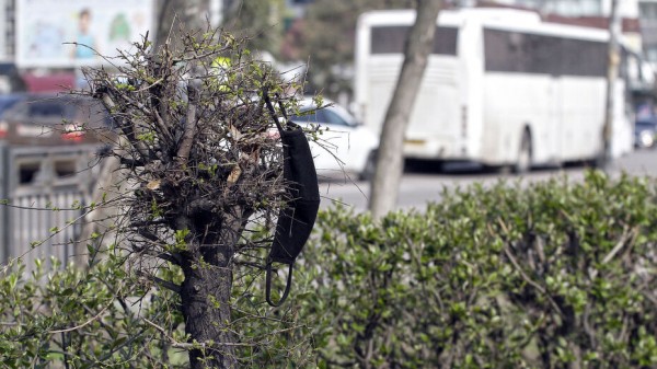 Летом коронавирусом заразились почти 34 тыс жителей Воронежской области