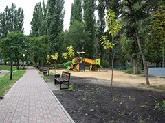 Вадим Кстенин: осенью крупномерные деревья планируем высадить в 14 скверах и на 25 улицах