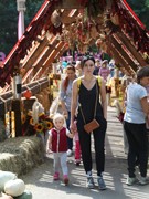 Платья петровской эпохи, авторскую живопись, цветы с каждого континента планеты, деревья с &laquo;золотыми&raquo; стволами и даже облака можно увидеть на выставке &laquo;Город &ndash; сад&raquo;