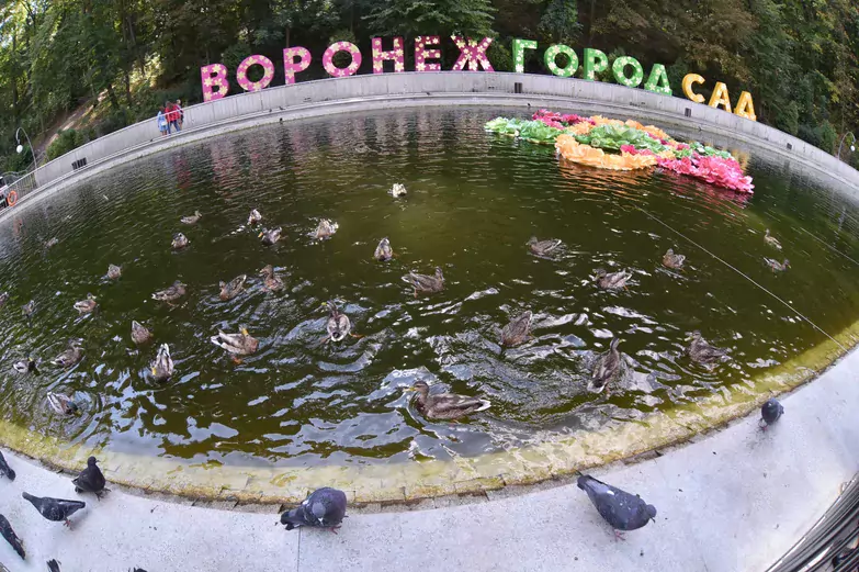 На &laquo;Городе-саде&raquo; воронежцам показали взлетающий дом и мост-хижину