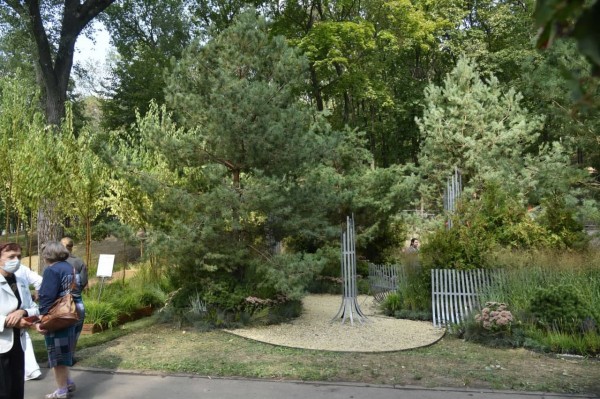 На &laquo;Городе-саде&raquo; воронежцам показали взлетающий дом и мост-хижину