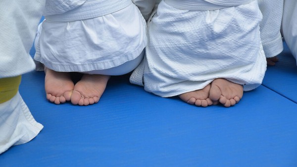 Воронежский департамент спорта пригласил ребят на занятия по программе &laquo;Школьное дзюдо&raquo;