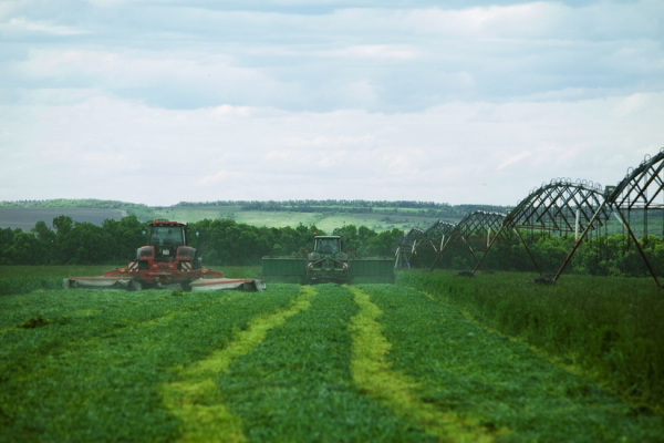 Депутат Аркадий Пономарев рассказал о развитии АПК Воронежской области