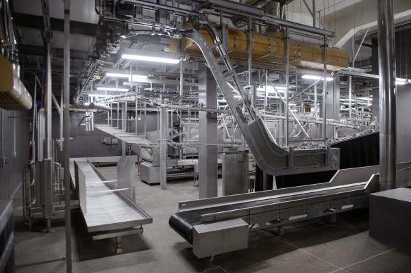 Более 2 тыс рабочих мест. В Воронежской области запустят 2 крупных агропредприятия