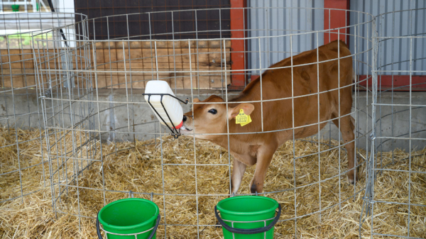 Депутат Аркадий Пономарев рассказал о развитии АПК Воронежской области