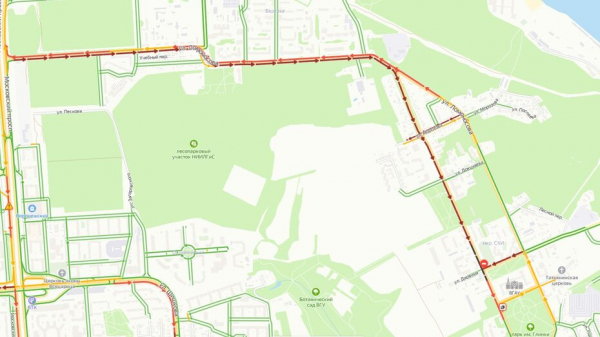 Упавшее на дорогу дерево заблокировало движение в микрорайоне СХИ в Воронеже