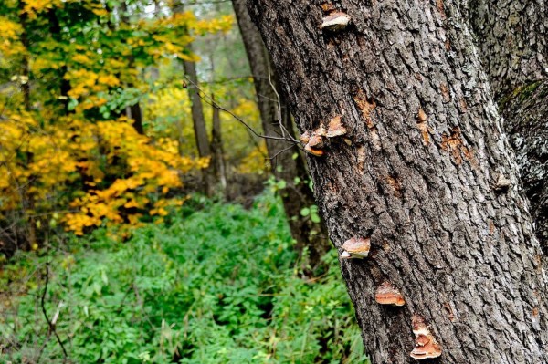 Гид РИА &laquo;Воронеж&raquo;. Чем заняться в выходные 18&ndash;19 сентября