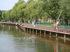 Объем инвестиций в реконструкцию парка &laquo;Дельфин&raquo; увеличится до 180 млн рублей