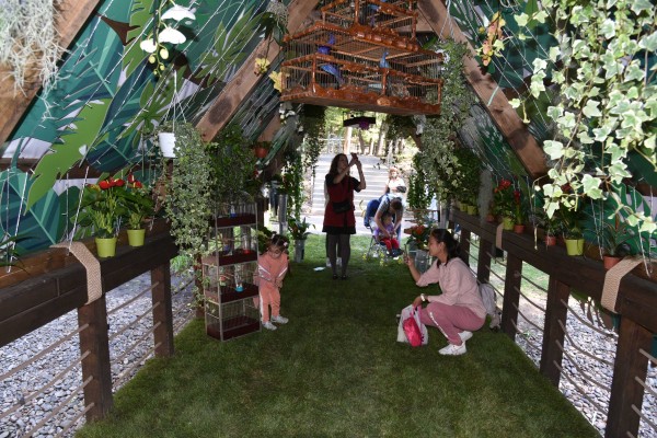 Воронежский губернатор открыл фестиваль &laquo;Город-сад&raquo; в Центральном парке