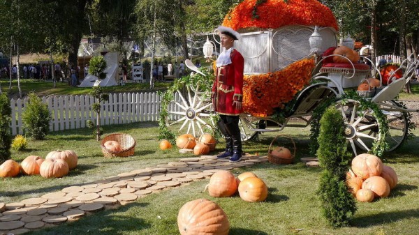 Выставку-ярмарку фестиваля &laquo;Город-сад&raquo; в Воронеже расширят в 2021 году